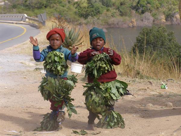 The children of Swaziland