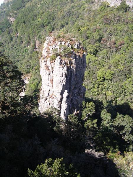 The pinnacle