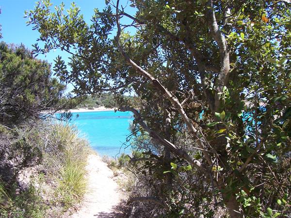 sandy path through shrubs toward turquoise water and sunny beach