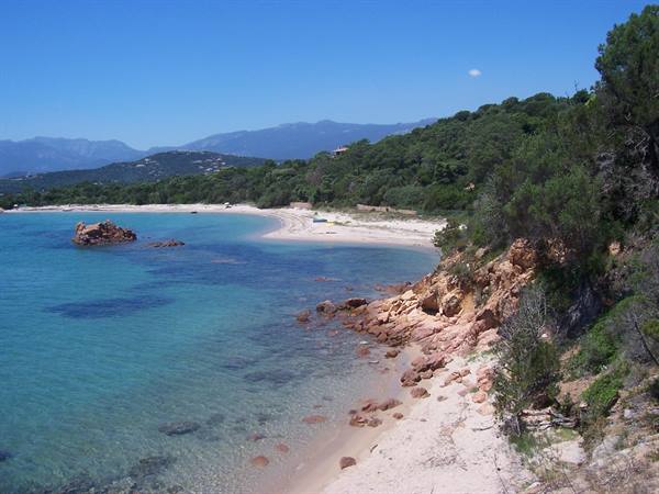 White sand beach with red rocks, clear turquoise sea, green pine trees