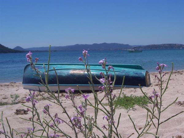 Overturned boat on sand among purple flowers, turquoise sea and anchored boats