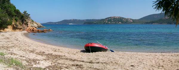 golfo di sogno a year later