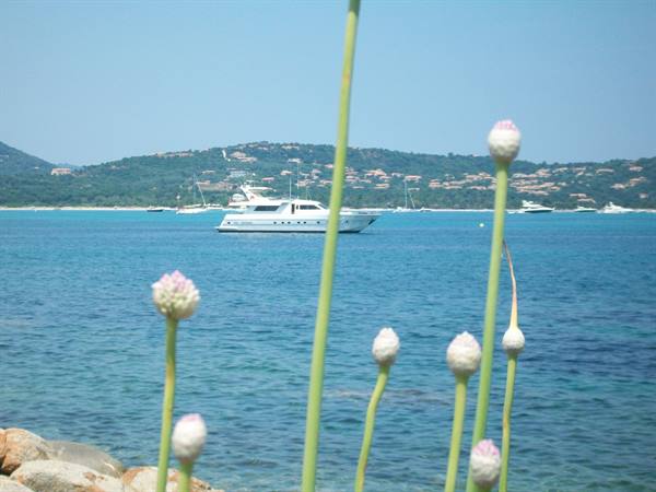 Ready to bloom on the cliff of San Ciprian