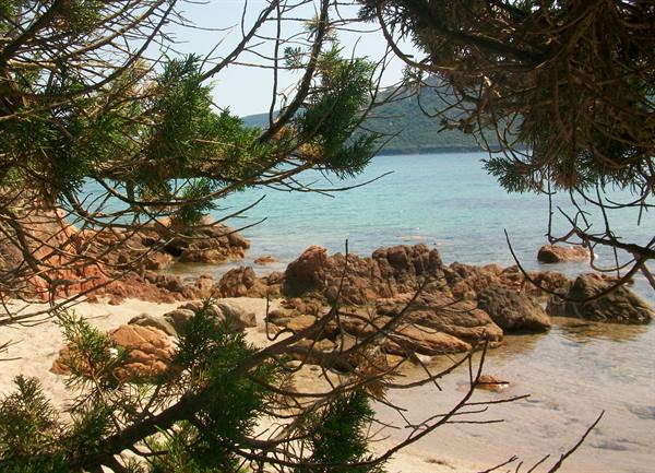 Glimpse of San Benedettu