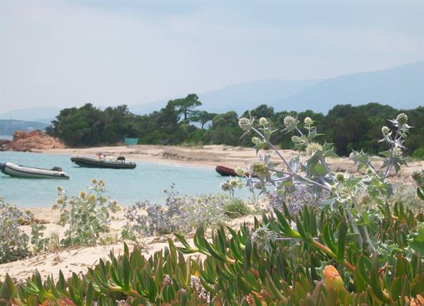 Still San Benedettu