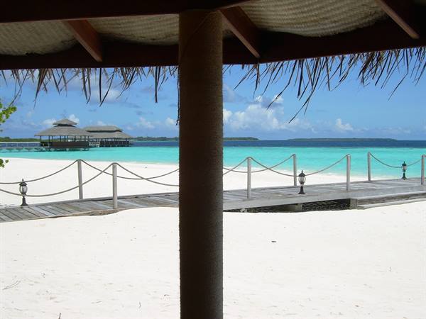 VIEW FROM THE ROOM