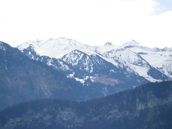 Alpine landscape