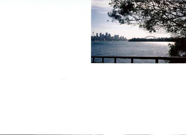 Sydney skyline and Harbour Bridge across the bay, branches overhead