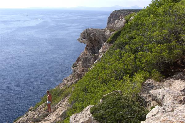 Swimmer in shorts on limestone cliff among pines, open blue sea