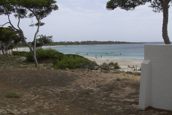 Sandy beach with boats and swimmers, pine trees and white wall