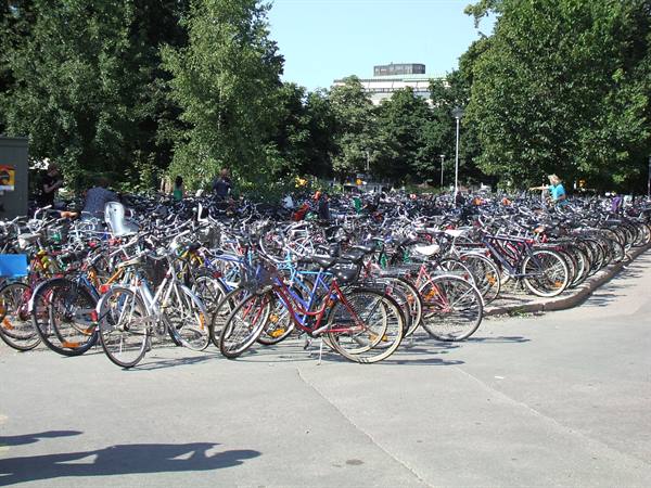 Uppsala, true ecology is there!