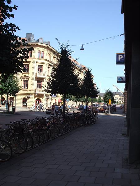 Bicycles parked under trees on a paved square with yellow buildings