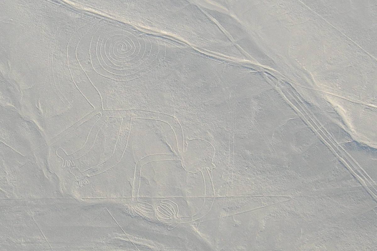Nazca lines monkey