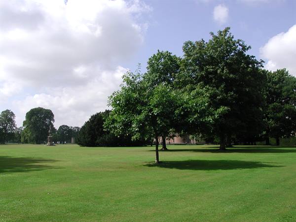 Green trees on a lawn in a park under cloudy sky