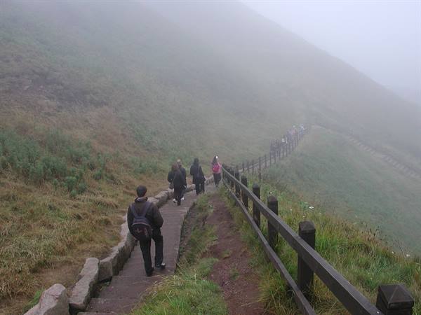 Hikers with backpacks descend stone steps in fog beside wooden fence