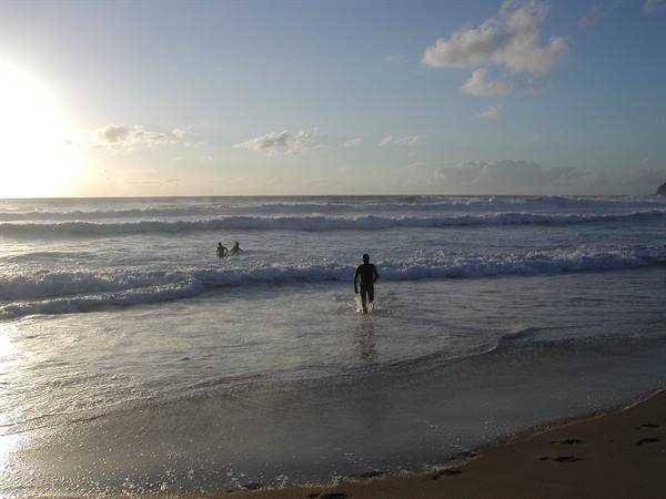 Surfers in wetsuits walking into the waves on the beach under low sun