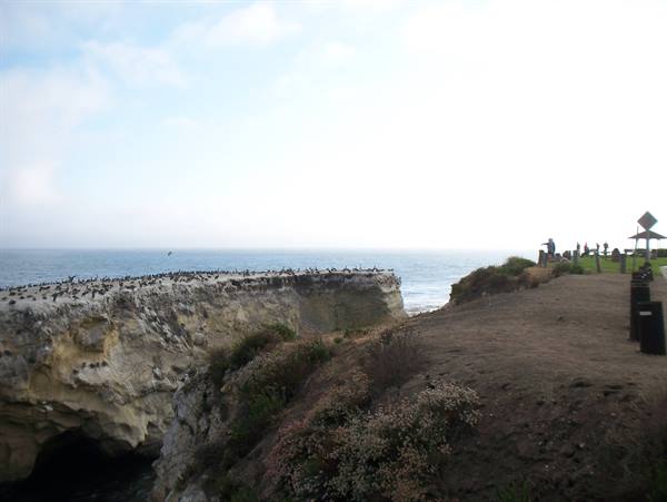 coast