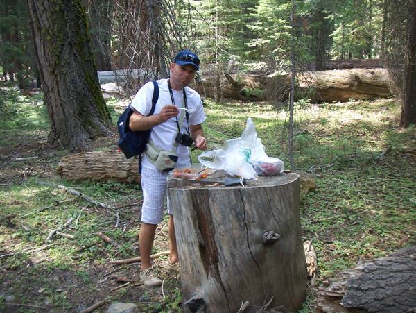 lunch on a sequoia trunk