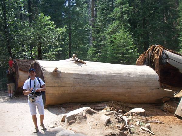 yosemite