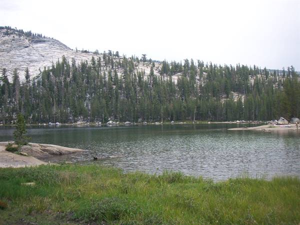 tioga pass after yosemite 