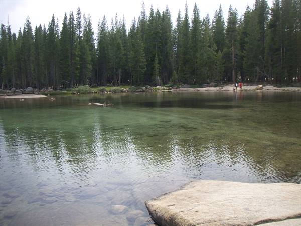 tioga pass