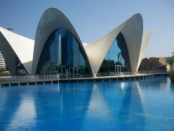 White concrete shells of Valencia's Oceanogràfic reflected in the blue pool