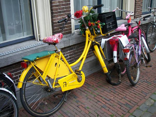 Yellow bicycle decorated with fake roses leaning on red bricks beside other bikes