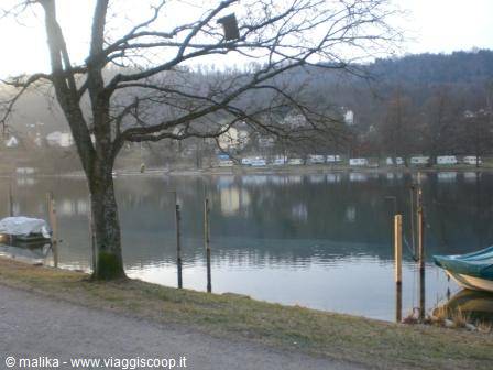Bare tree and moored boats on the lake in morning light