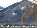 Weeping willow branches over Lake Iseo, snowy mountains in the background