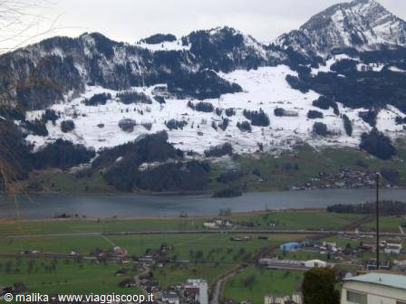 Snowy mountains above a lake and green meadows with Swiss houses