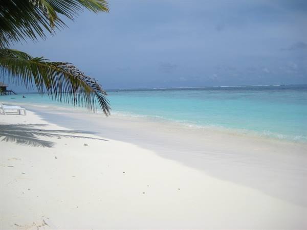 White sand beach with palm and lounge chair, turquoise sea under cloudy sky