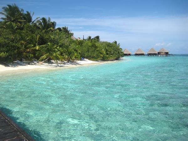 White sand beach with palms and overwater thatched bungalows, turquoise sea