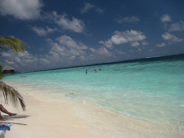 Swimmers in turquoise water along white sand beach with palm trees