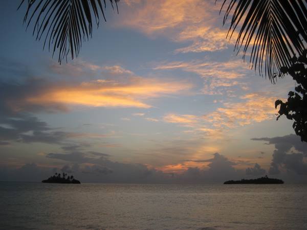 Palm fronds over orange dusk sky, two dark islets on calm sea