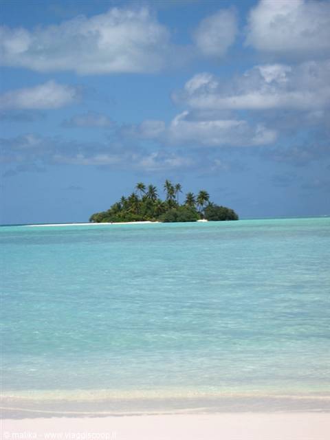 Small palm-covered islet emerges from turquoise water under cloudy sky