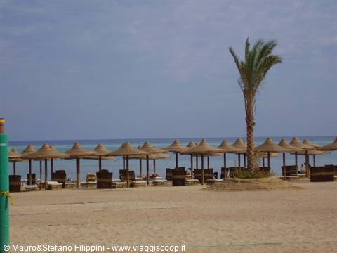 THE BEACH...