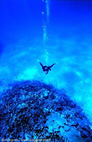 Scuba diver with fins descends over a coral reef, air bubbles rising