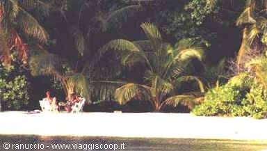 People relaxing on white sand beneath palm trees and tropical greenery