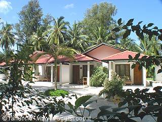 Red-roofed bungalow surrounded by palm trees and tropical plants