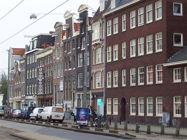 The houses
