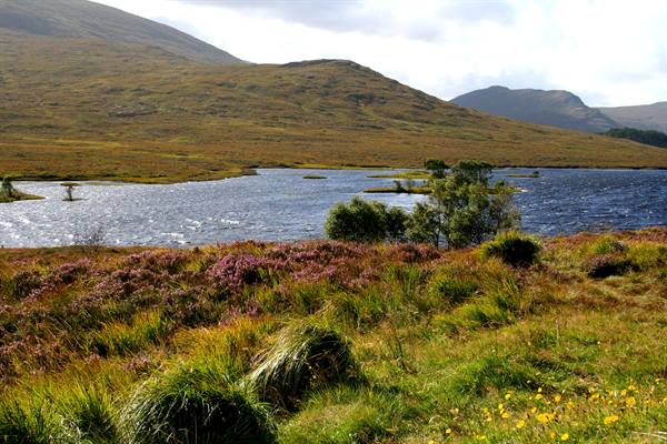 Highlands
