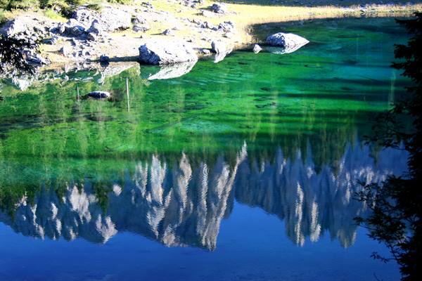 Reflections in lake Carezza (BZ) - South Tyrol