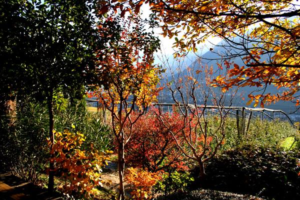 Merano (BZ) - South Tyrol