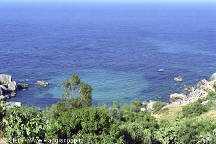 Mediterranean shrubs on rocks above emerald cove, open blue sea, small boat