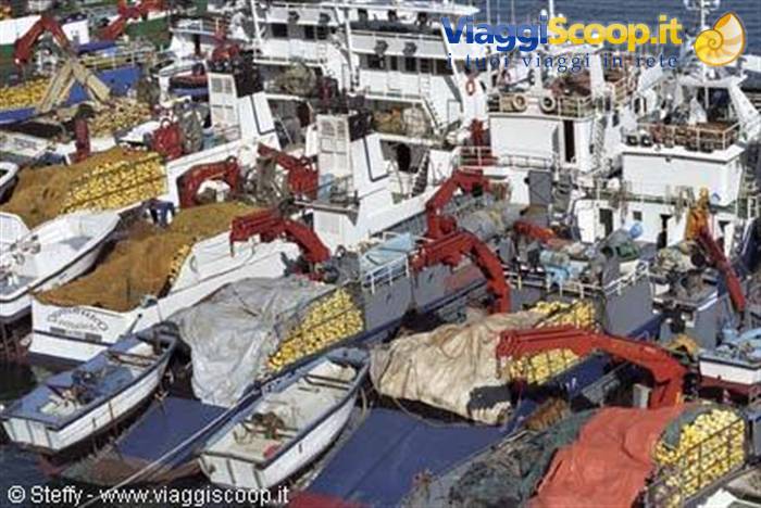 Fishing boats with red cranes unloading yellow fish crates at harbor