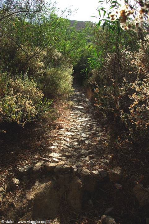 The ancient Roman road Nora - Bithia,