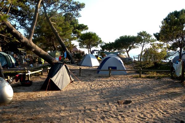 Golfo di Sogno Campsite