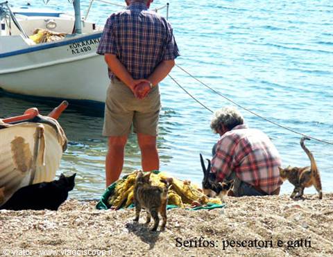Serifos: fisherman mending nets by the sea, cats and boats