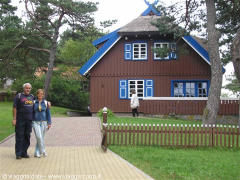 Couple standing before a brown wooden house with thatched roof and blue shutters