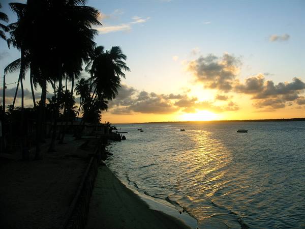 Palm trees and boats on the beach under low sun over the ocean